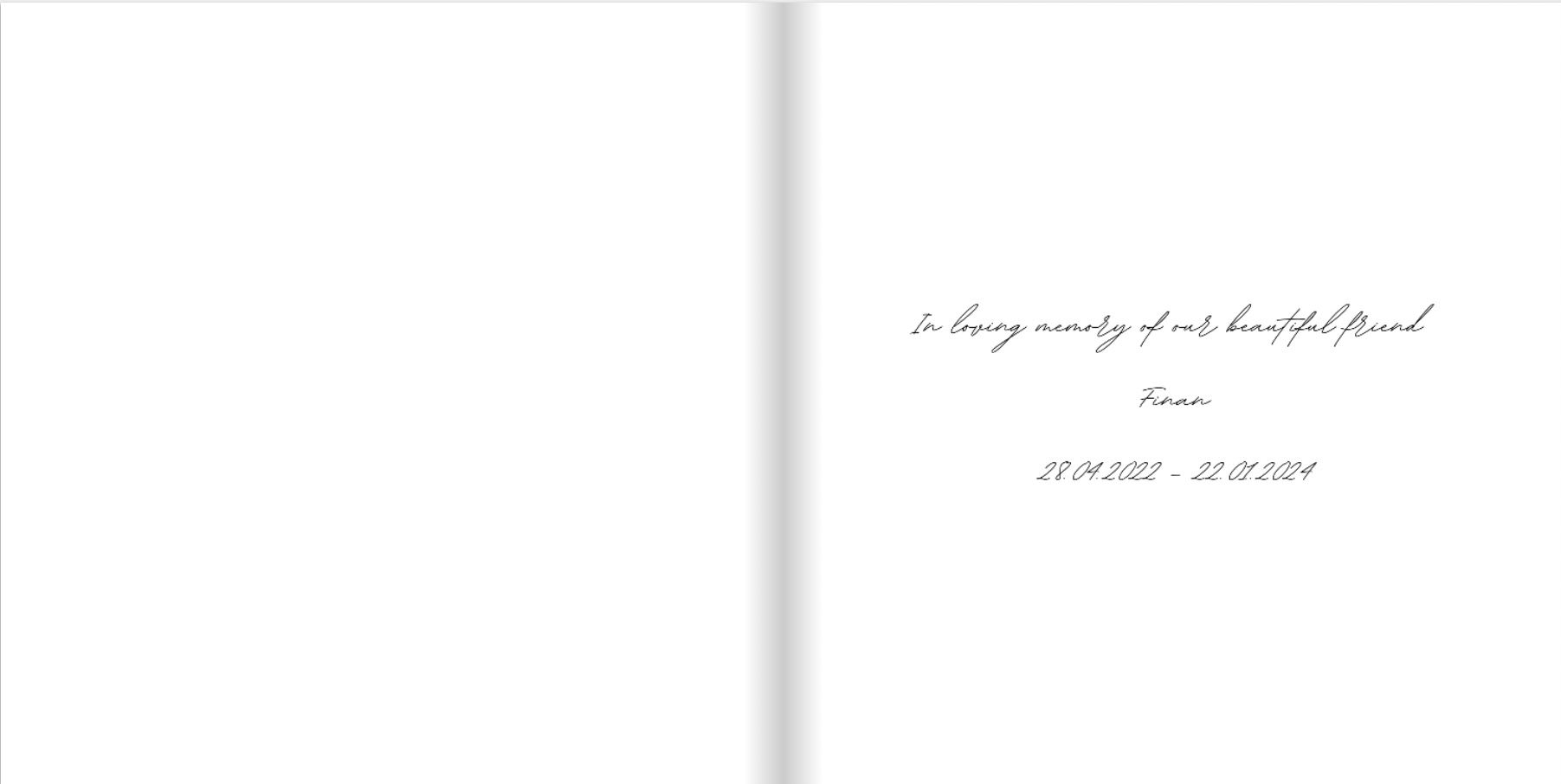 Dedication page for Finan in The Love That Stays